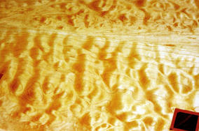 Maple Padouk Table