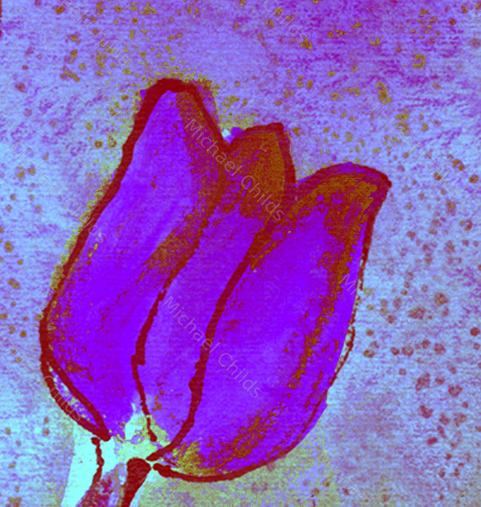 Tulip Closeup Purple on Purple