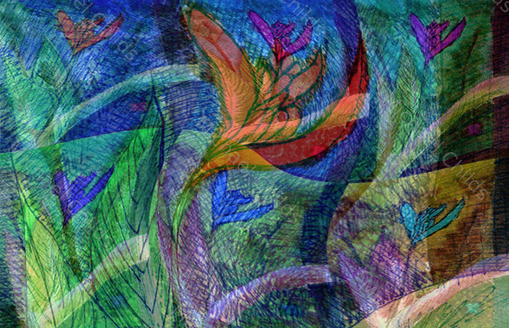 collage2