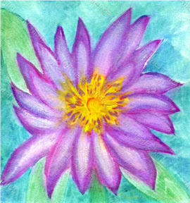Waterlily2