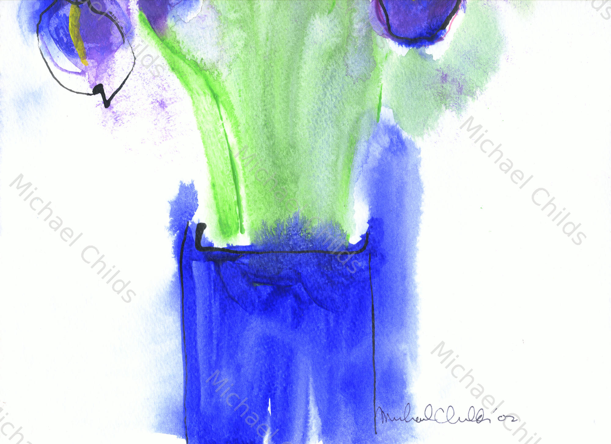 Irises Galore