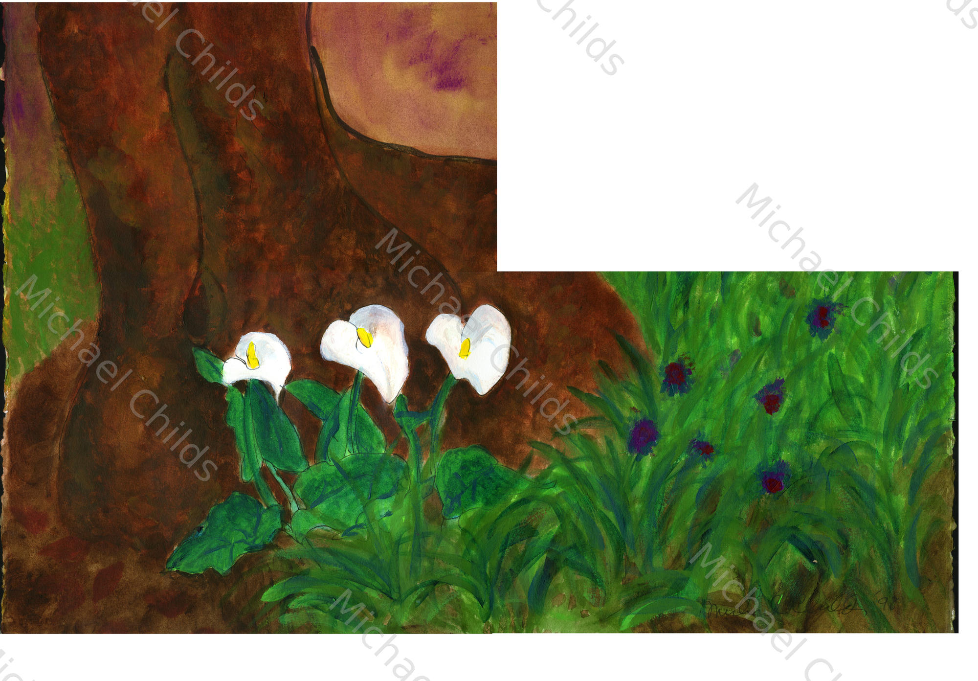 Lilies