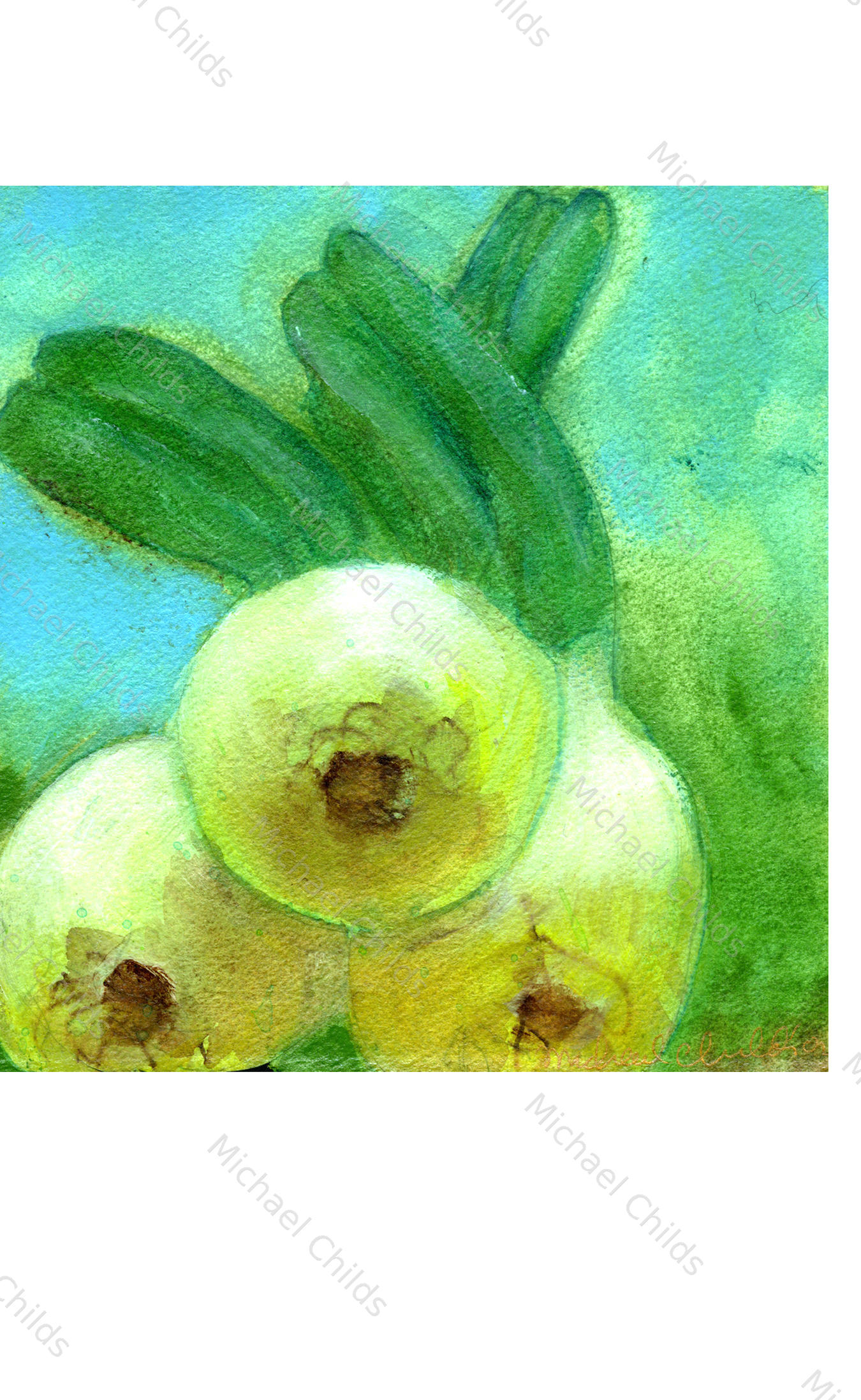 Onions Head On