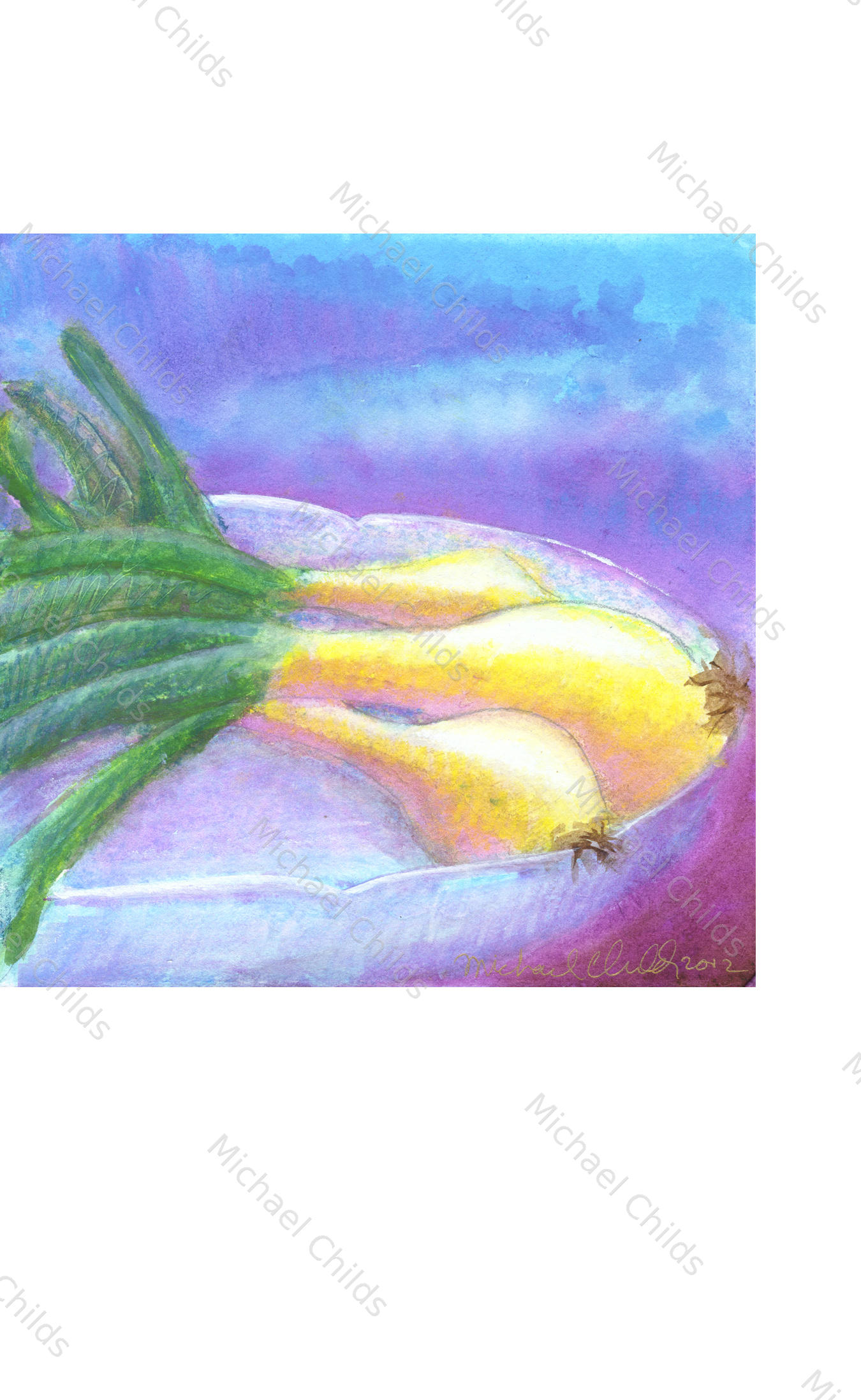 Onions and Dish