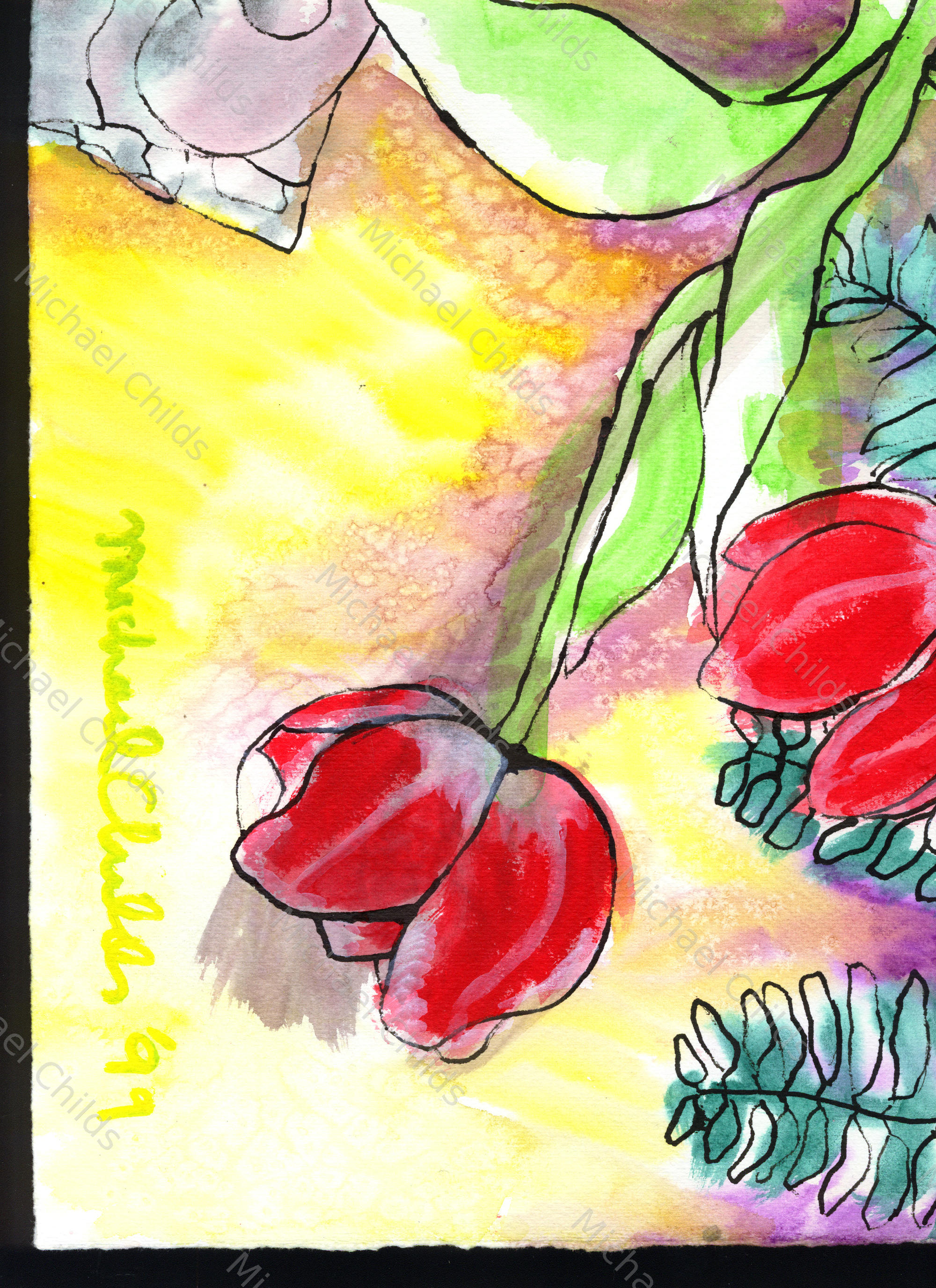Tulips and Rocks