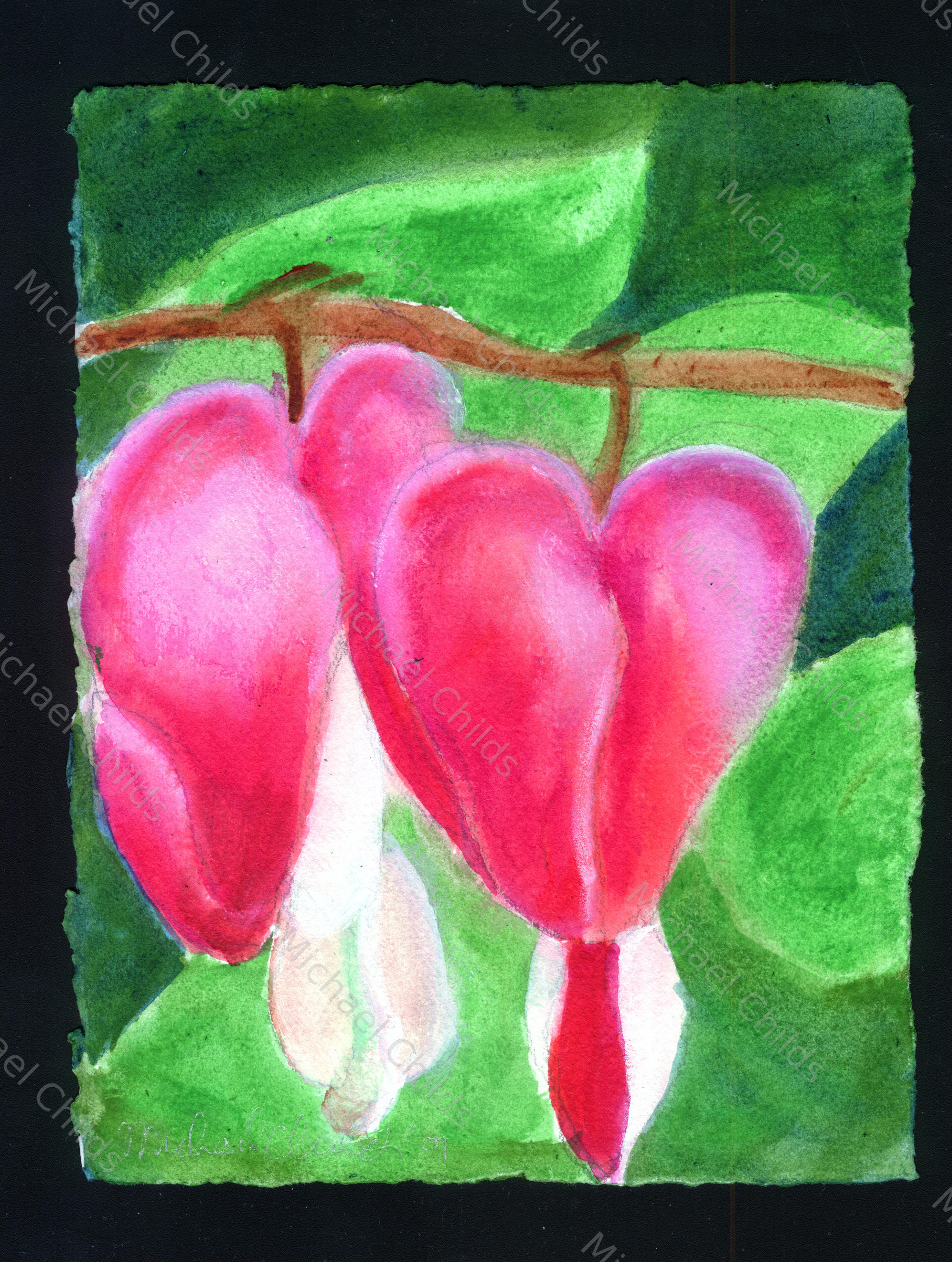 Open and Closed Bleeding Hearts