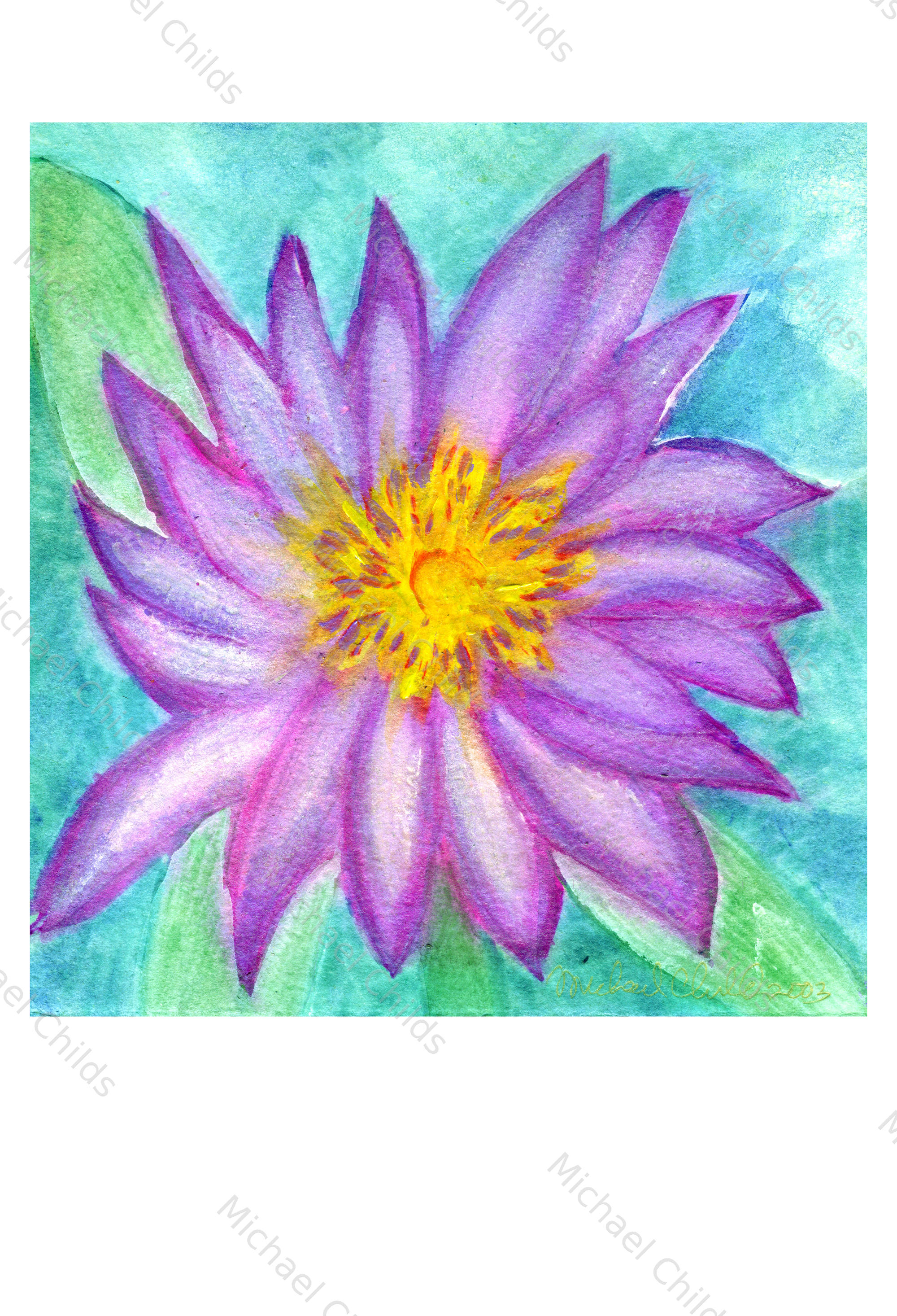 Waterlily2