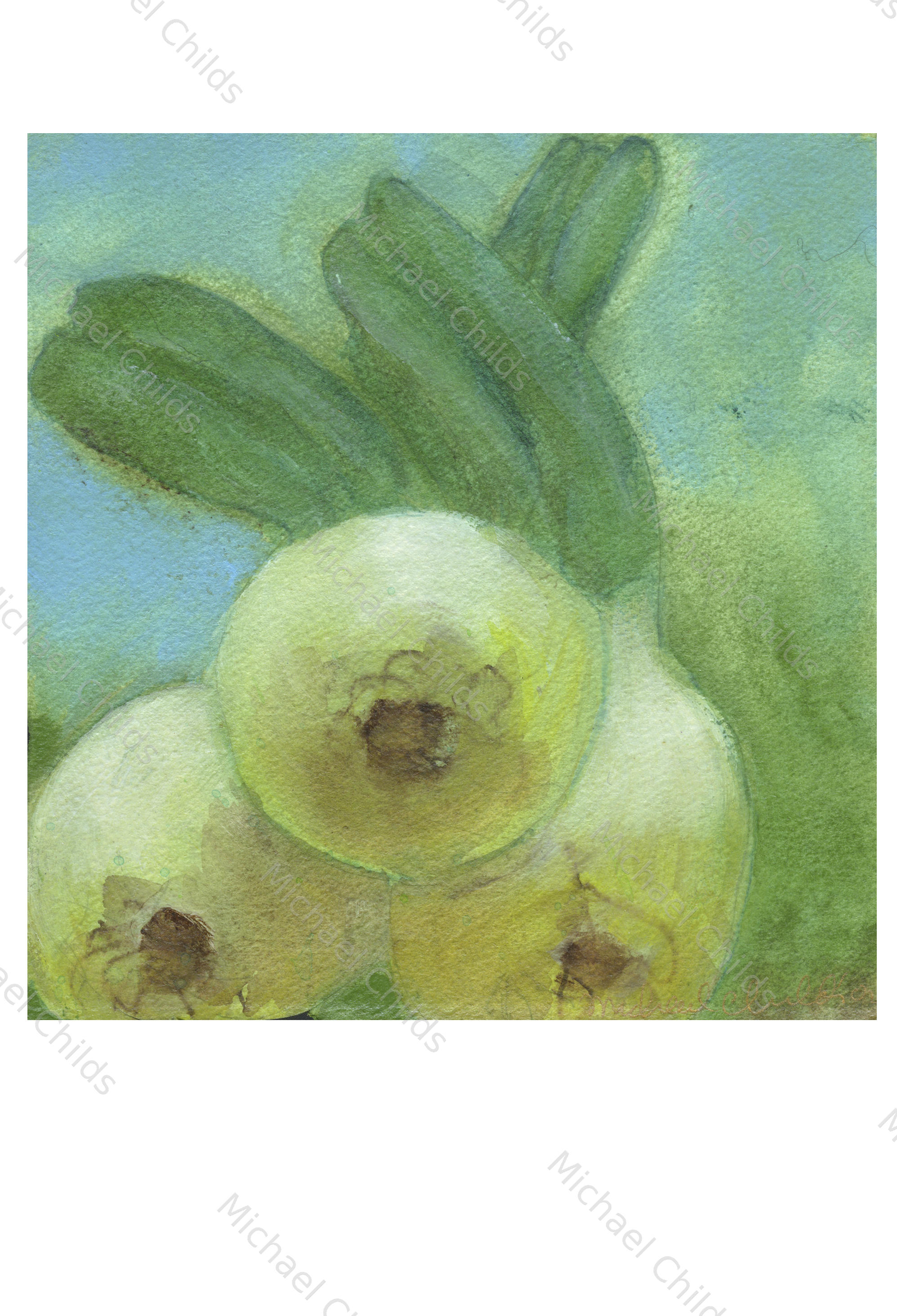 Onions Head