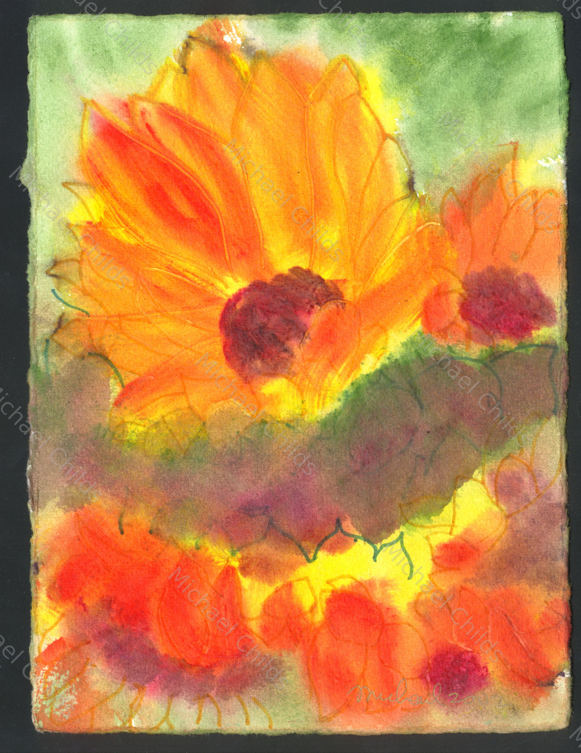 Flaming Sunflower Profile