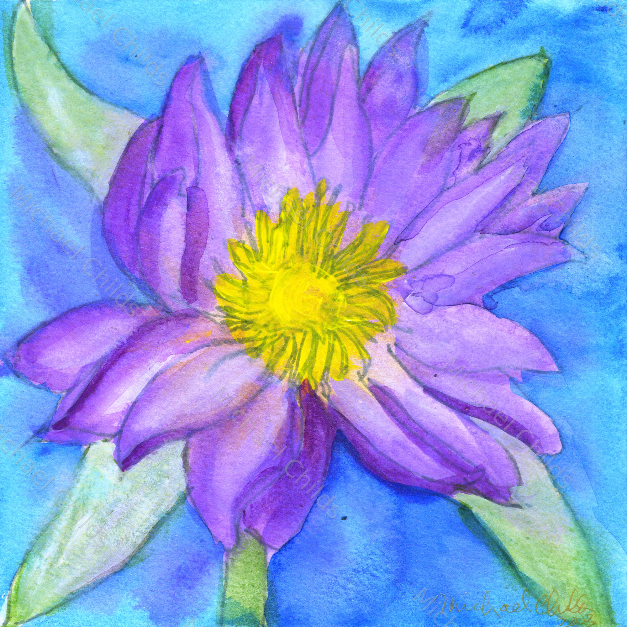 Waterlily1