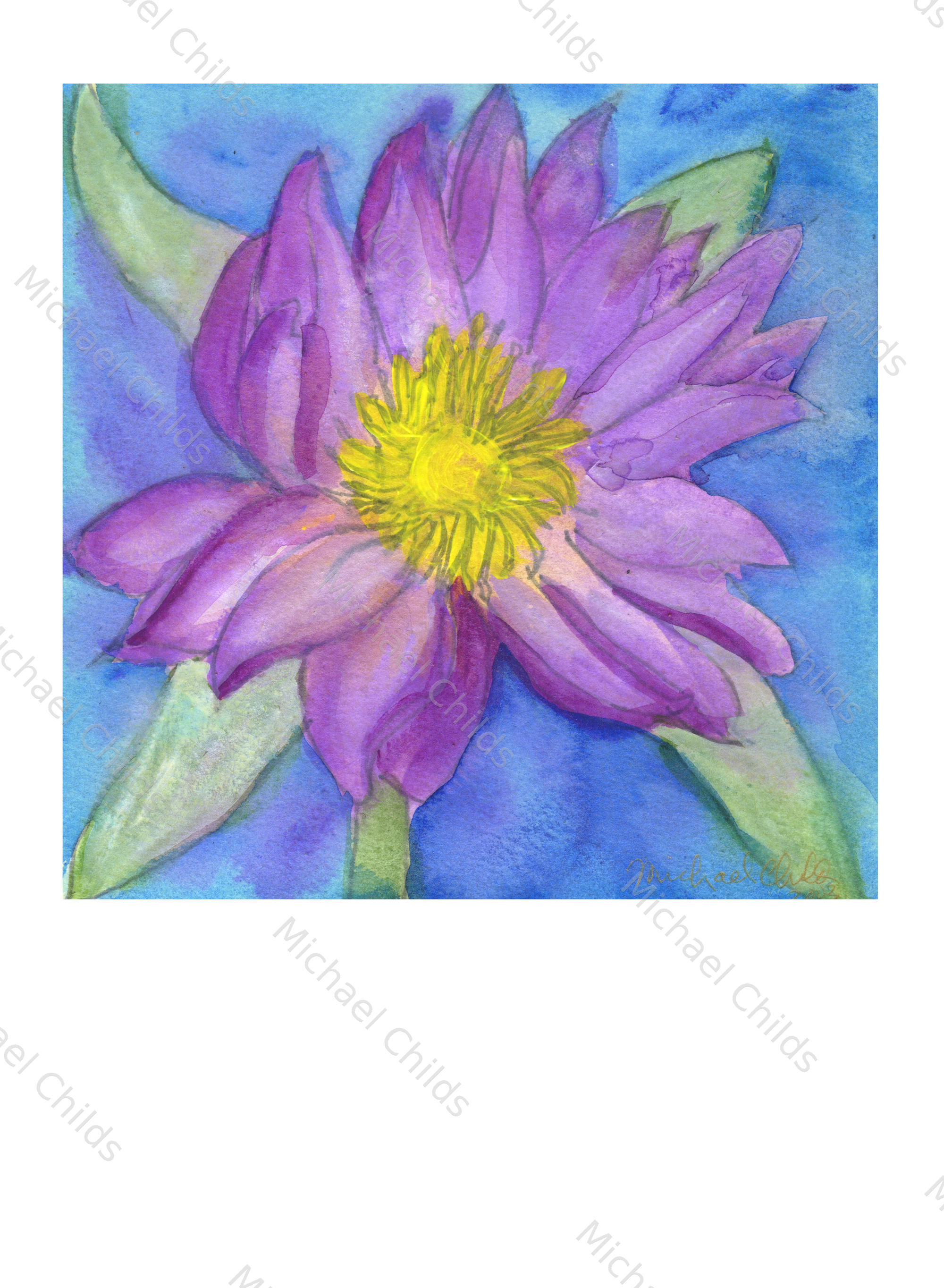Waterlily1