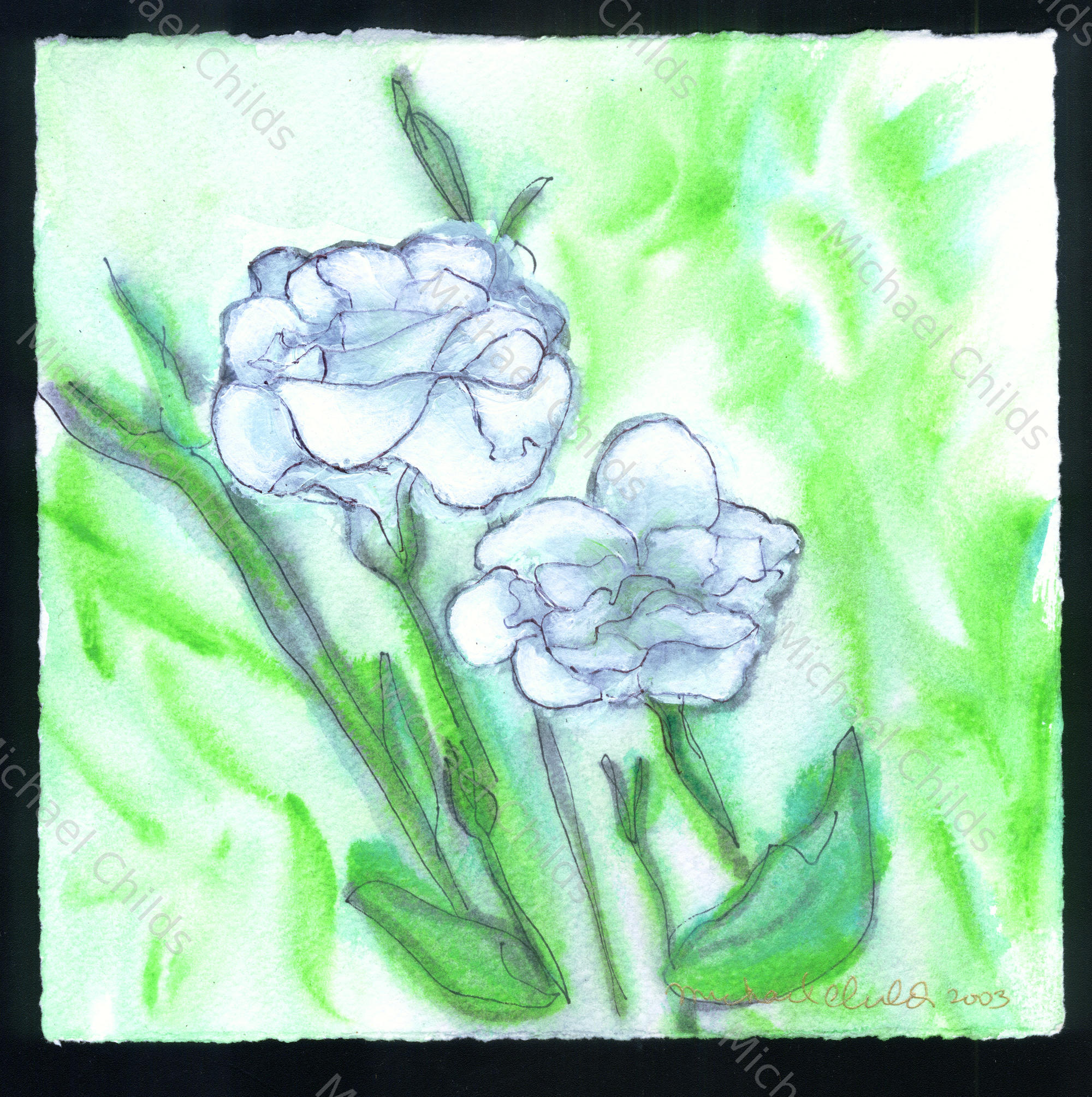 Summer White