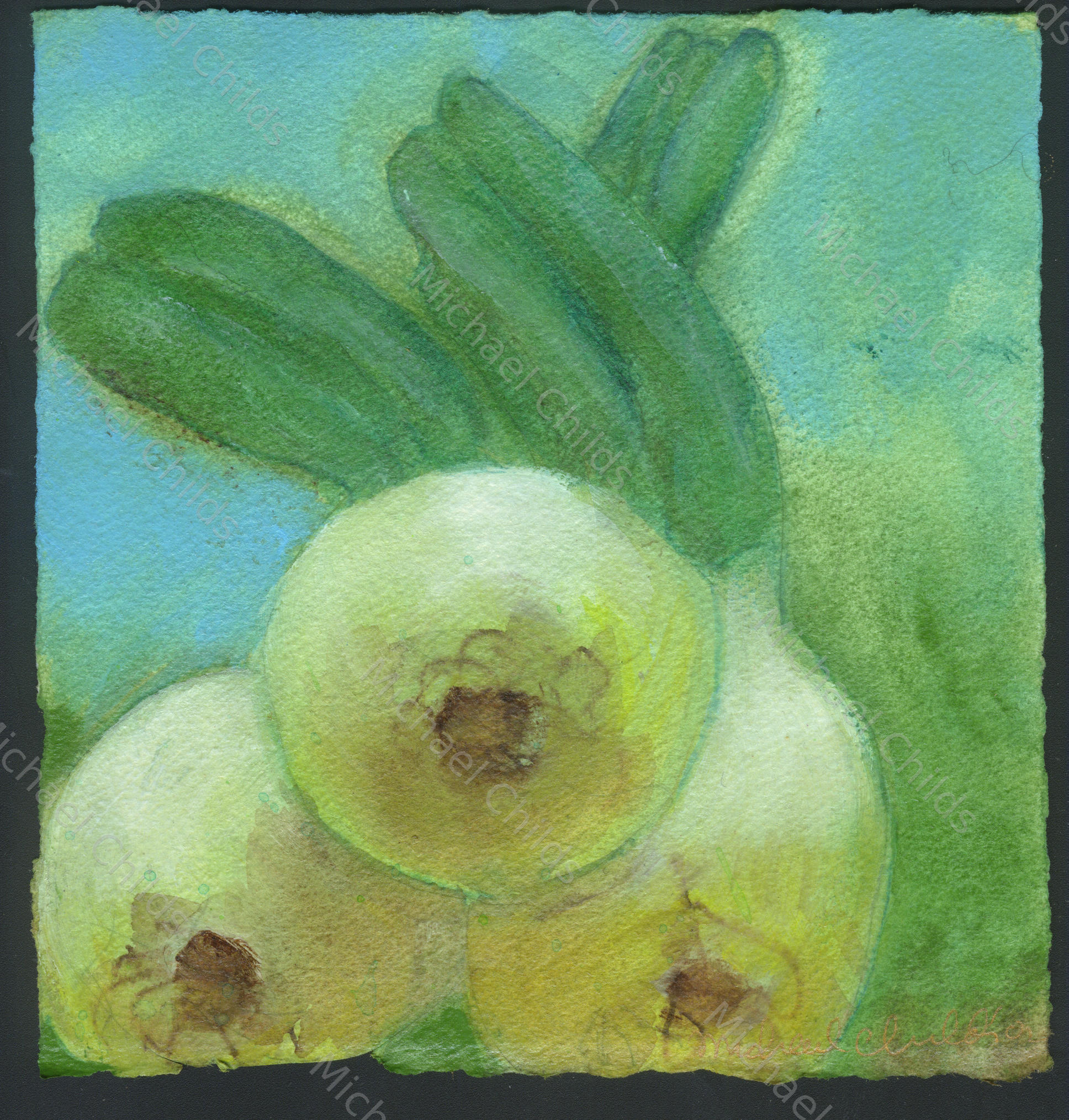 Onionsheadon