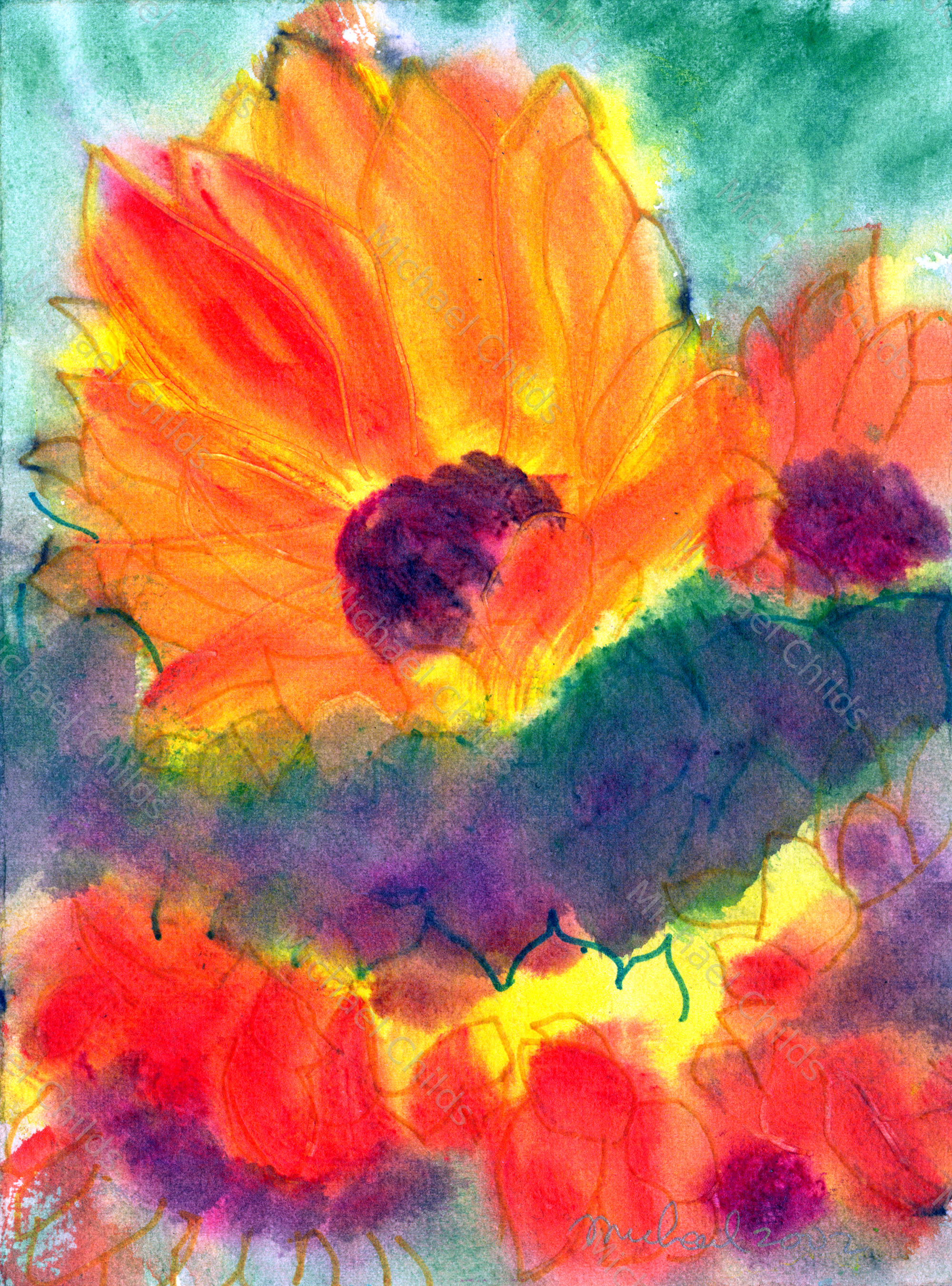 Flaming Sunflower Profile Variation