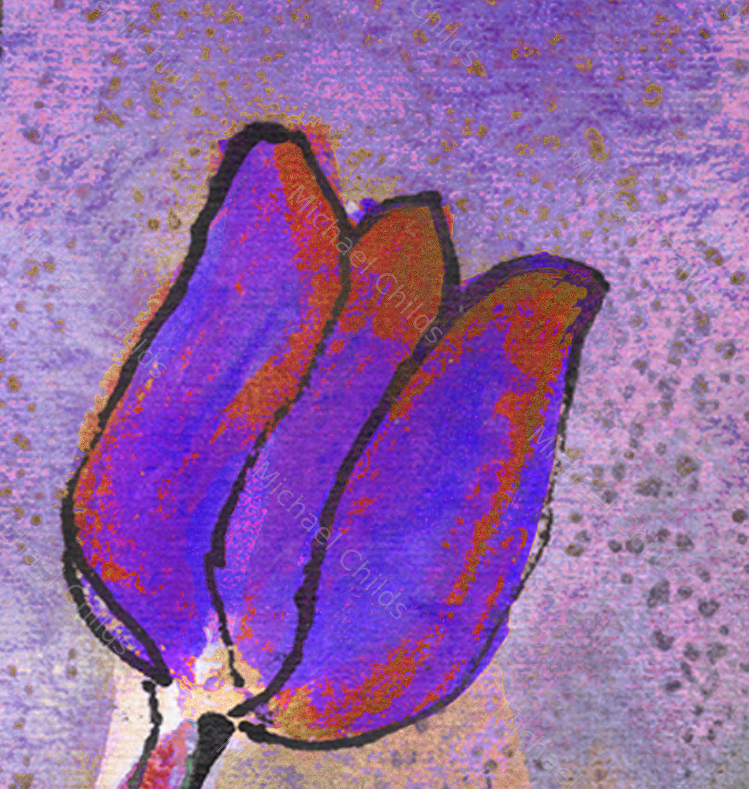 Tulip Closeup Purple Red