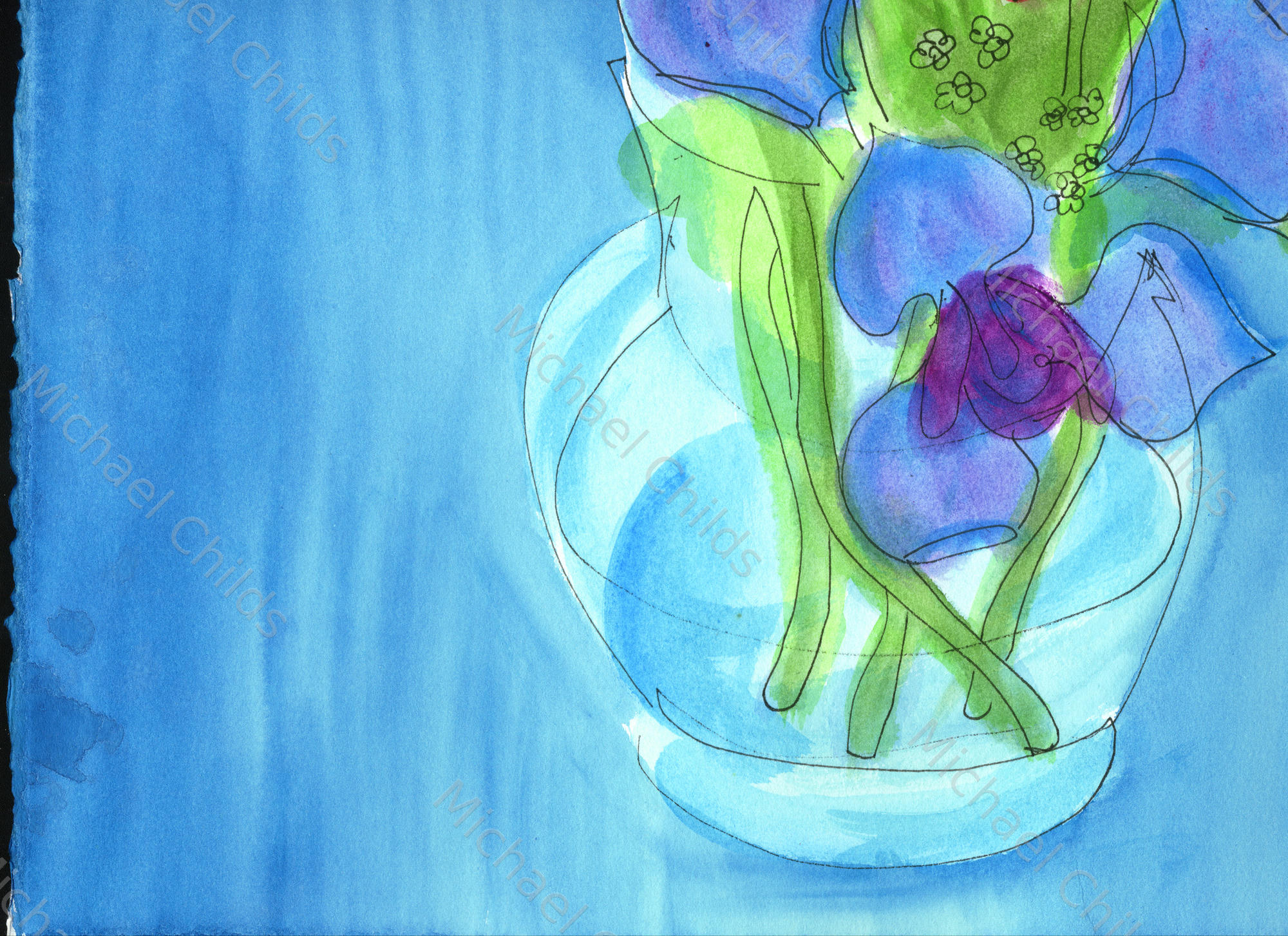 Irises2