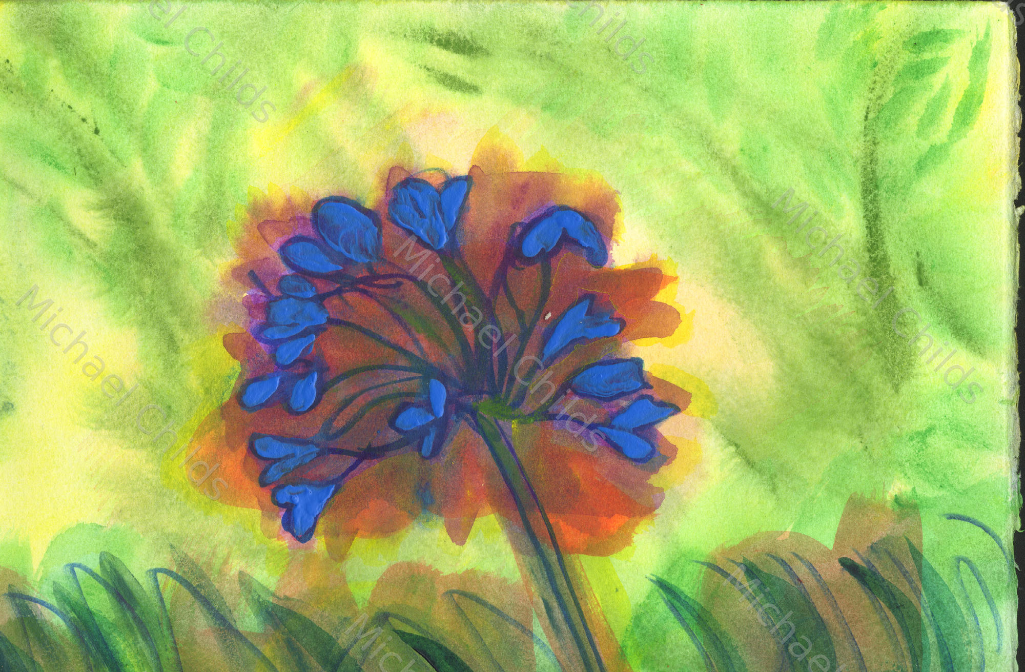 Agapantha4