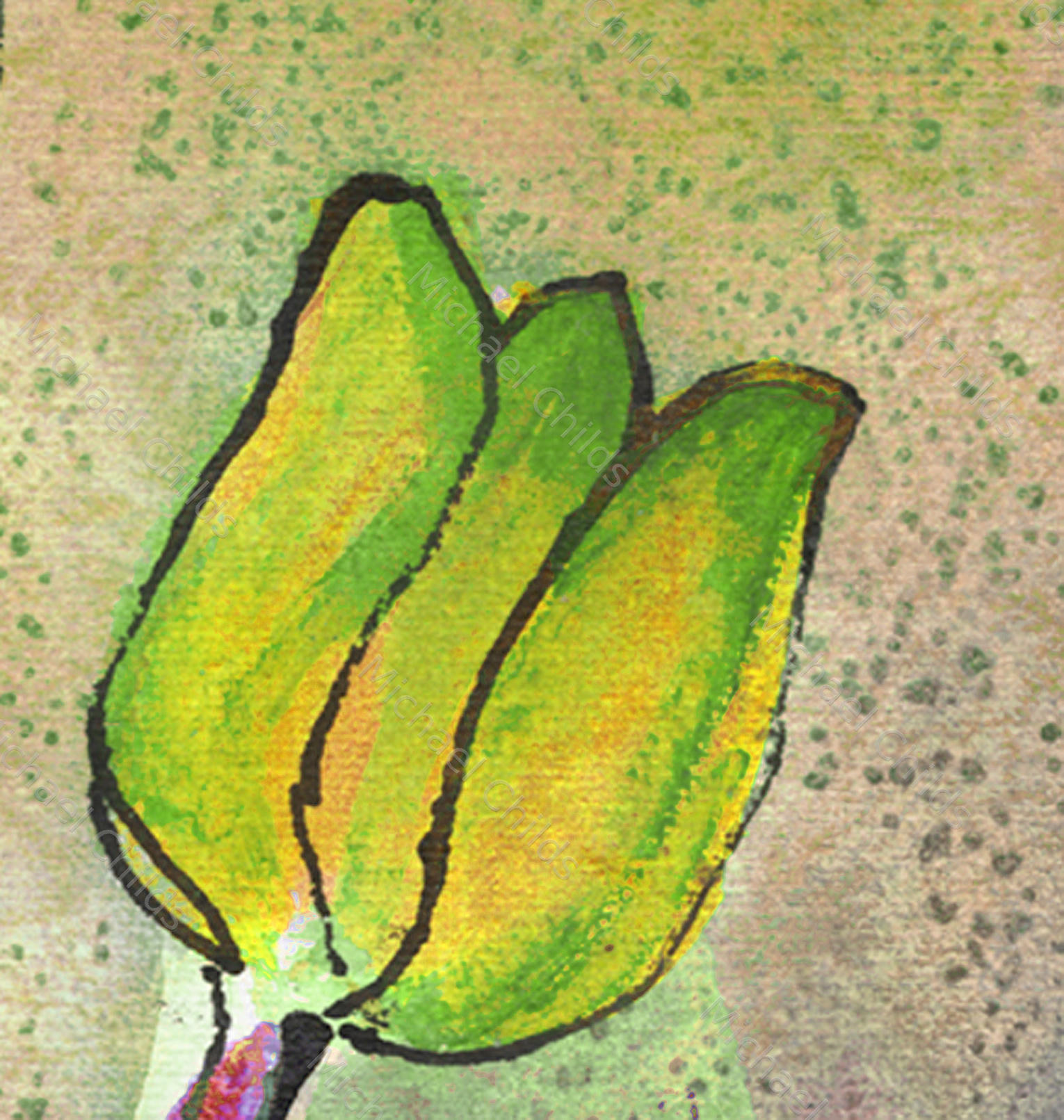 Tulip Closeup Yellow Green