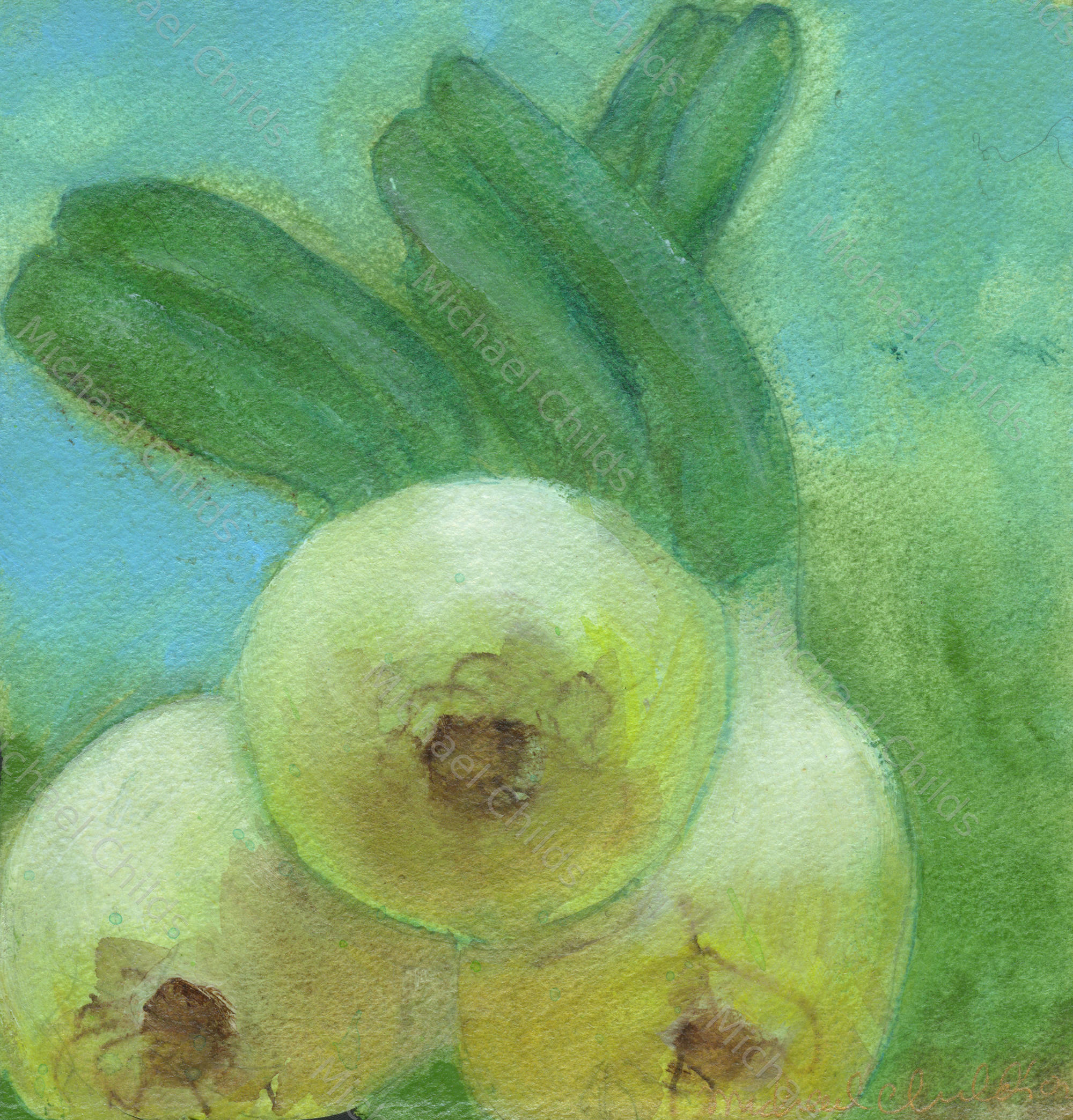 Onions Head On