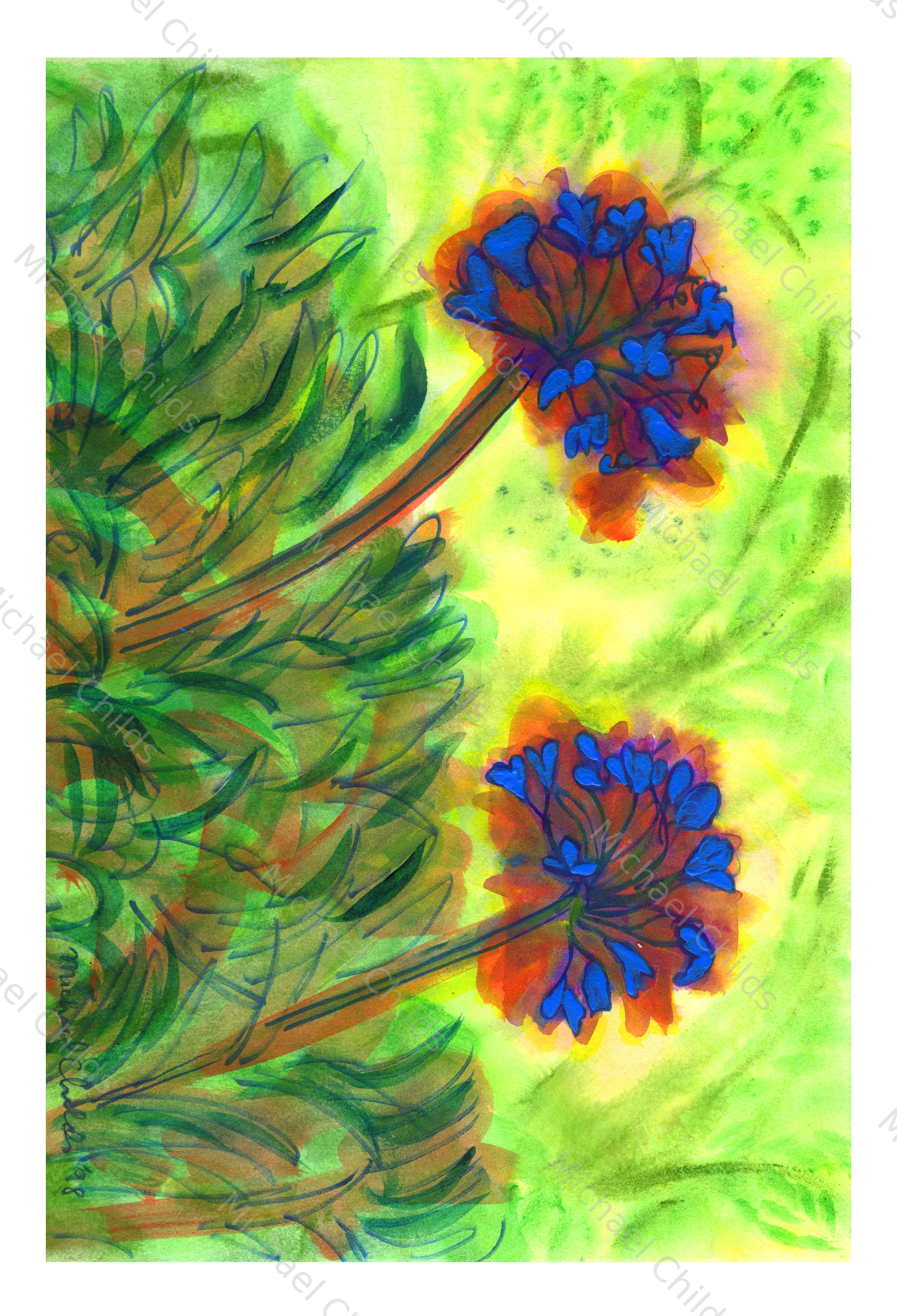 Agapanthas Limited Edition