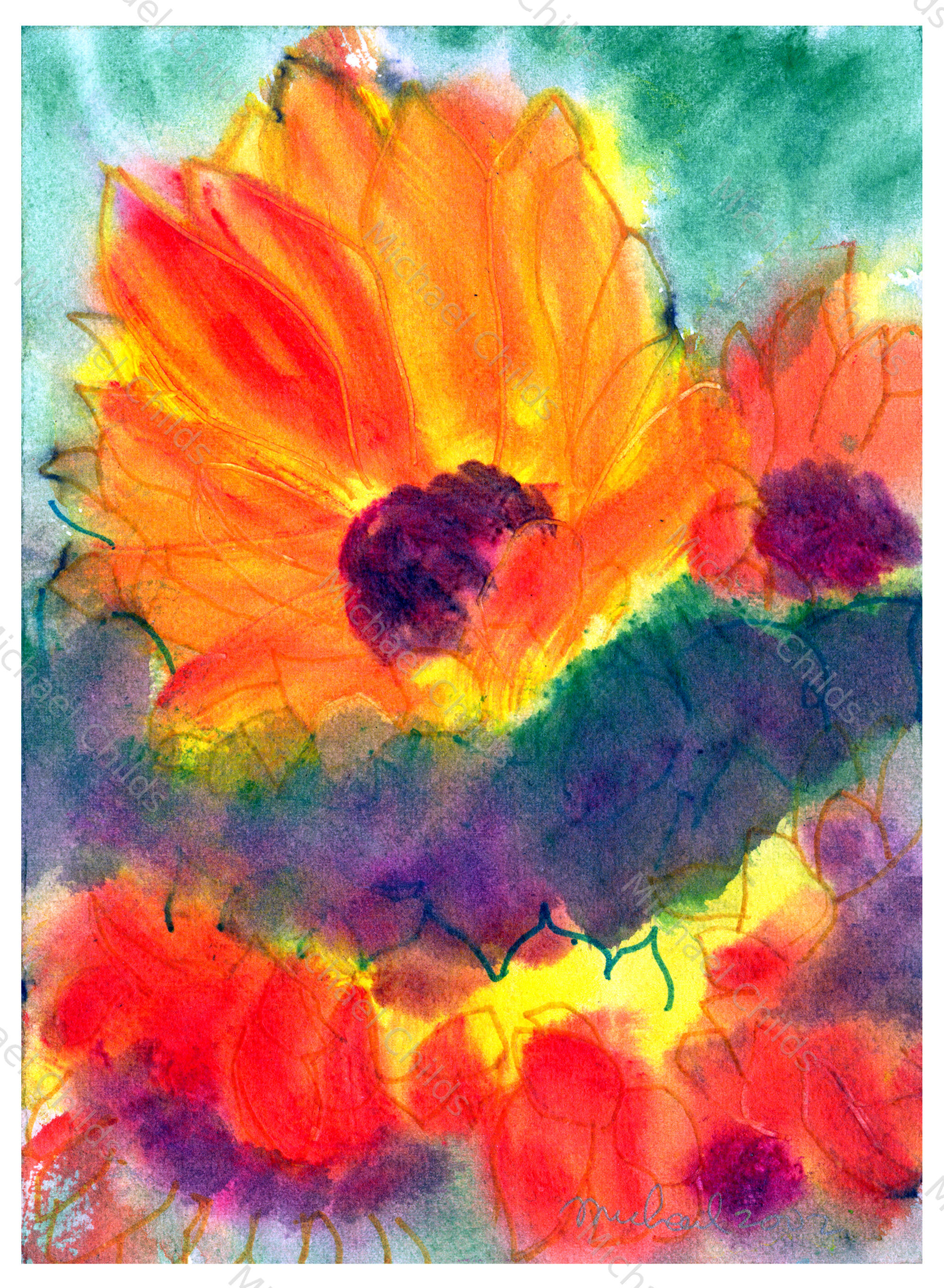 Flaming Sunflower Profile Variation