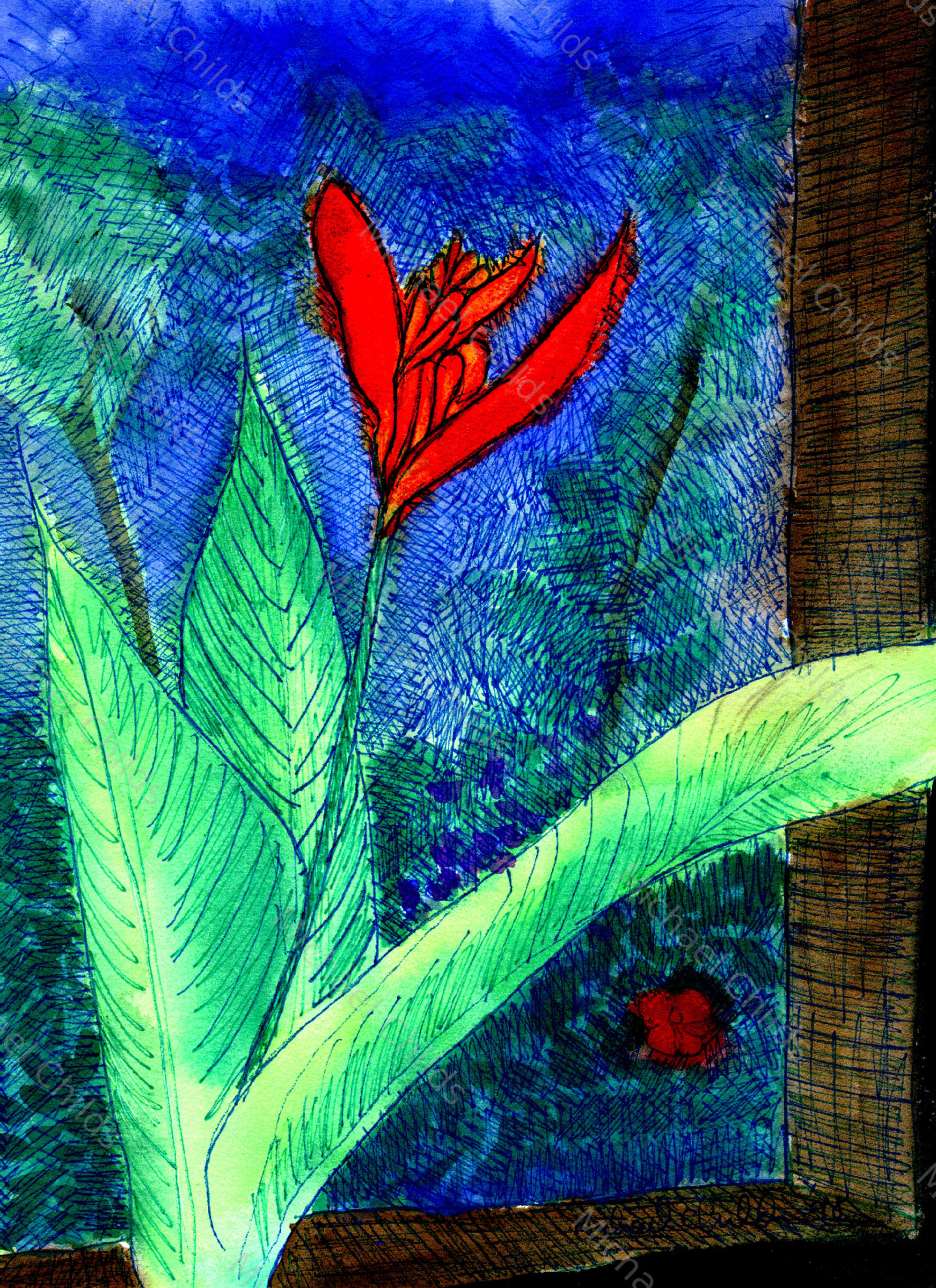 Bird of Paradise