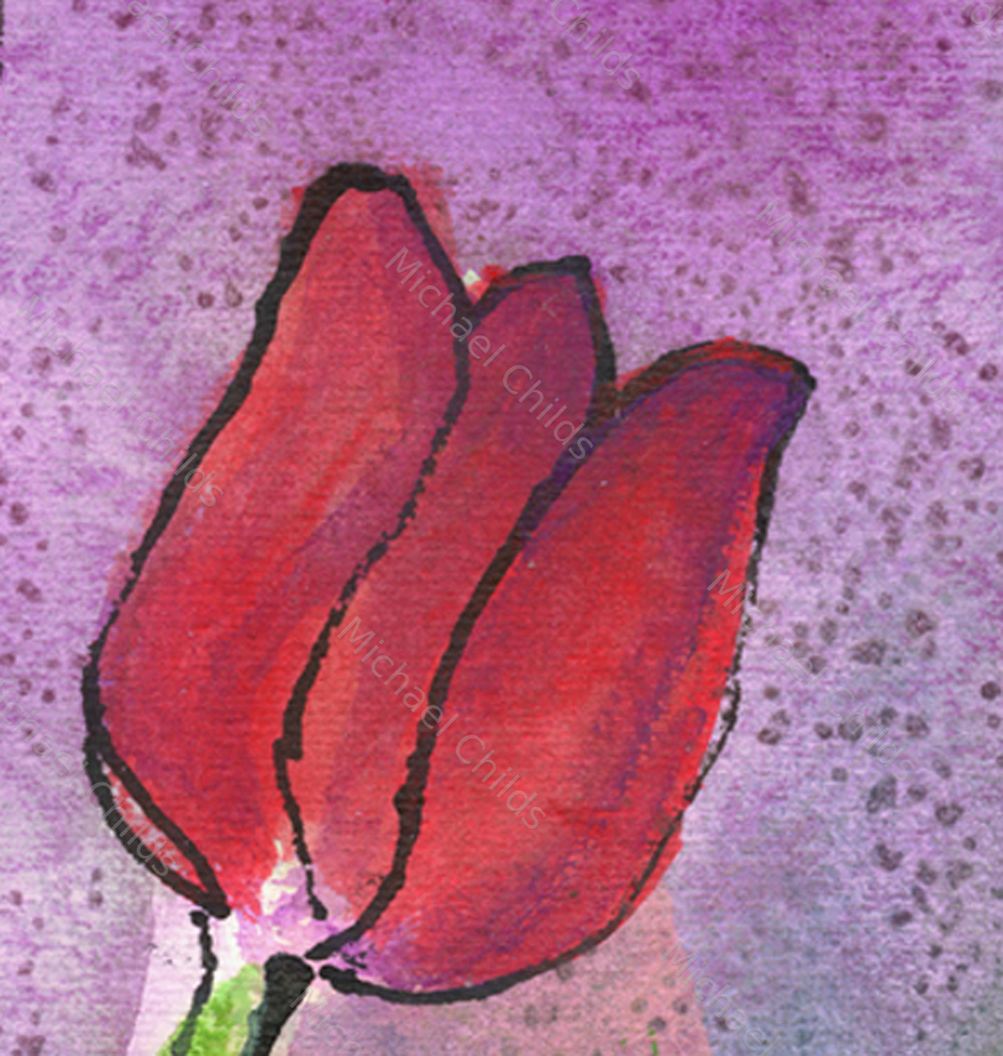 Tulip Closeup