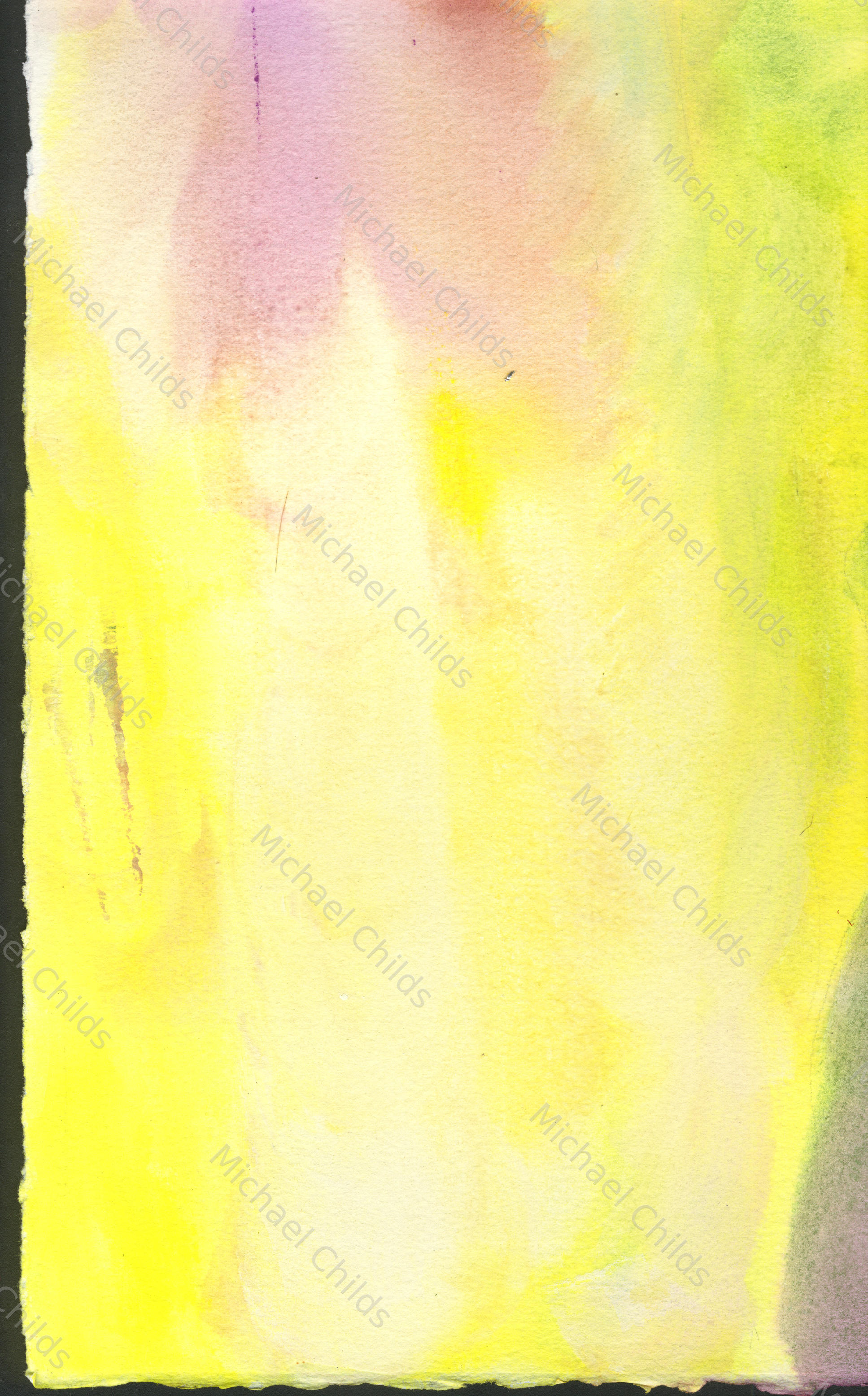 Gaia1
