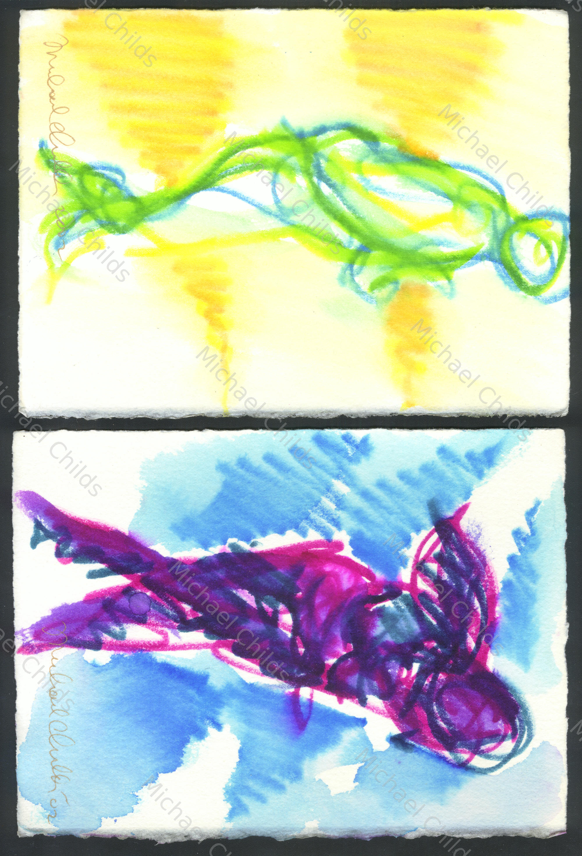 2scans#6smallstudies