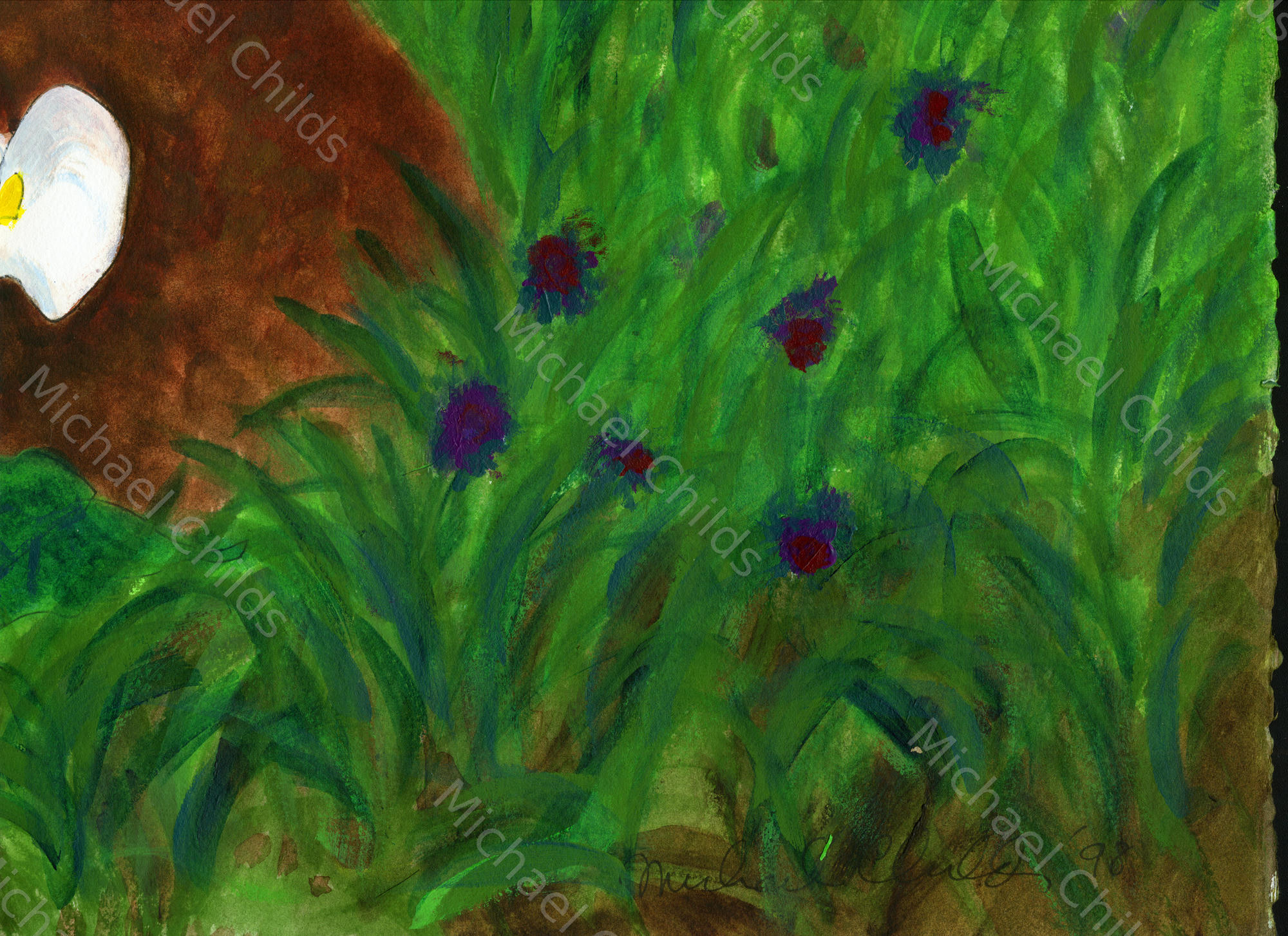 Lilies3