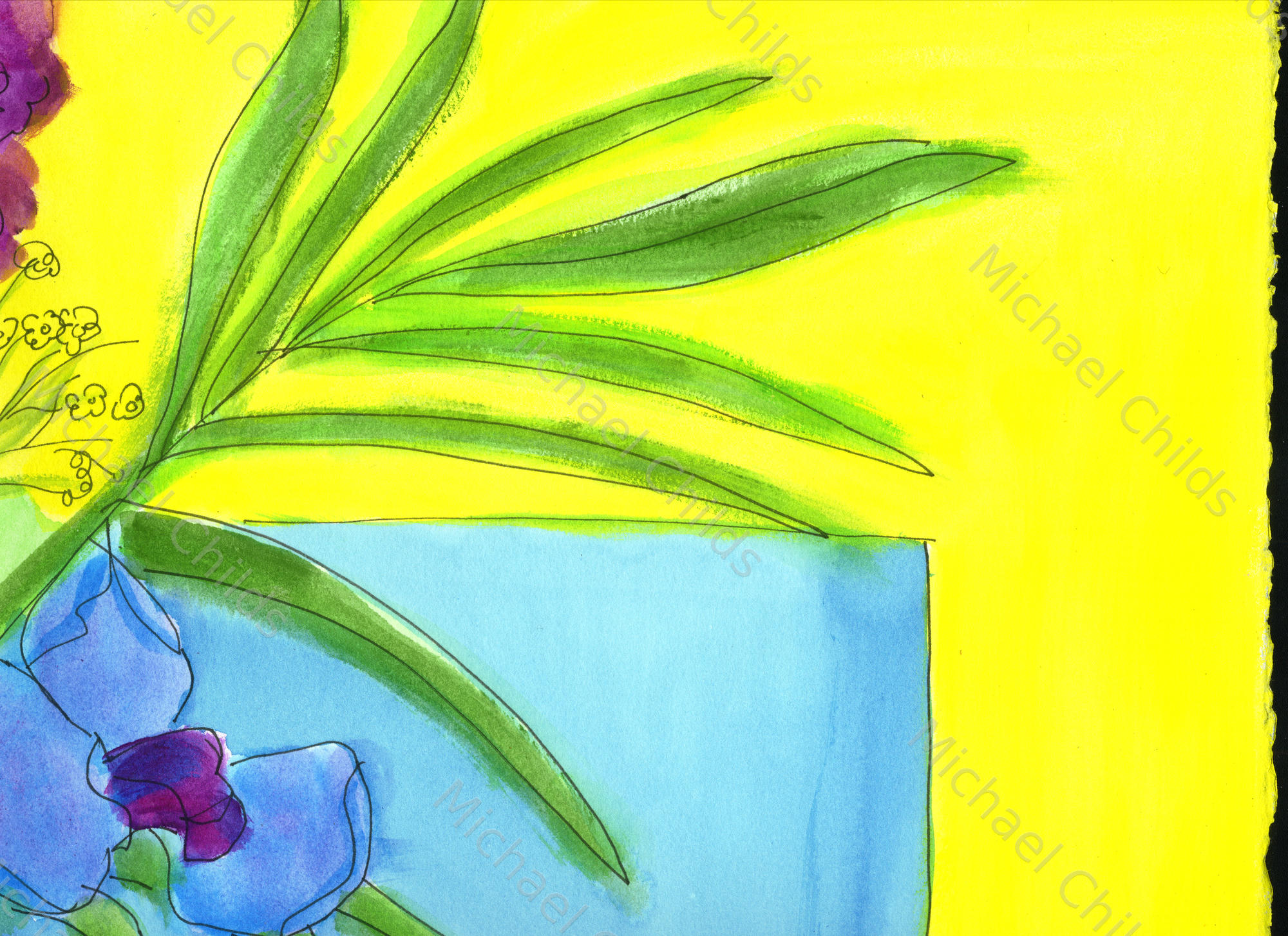 Irises4
