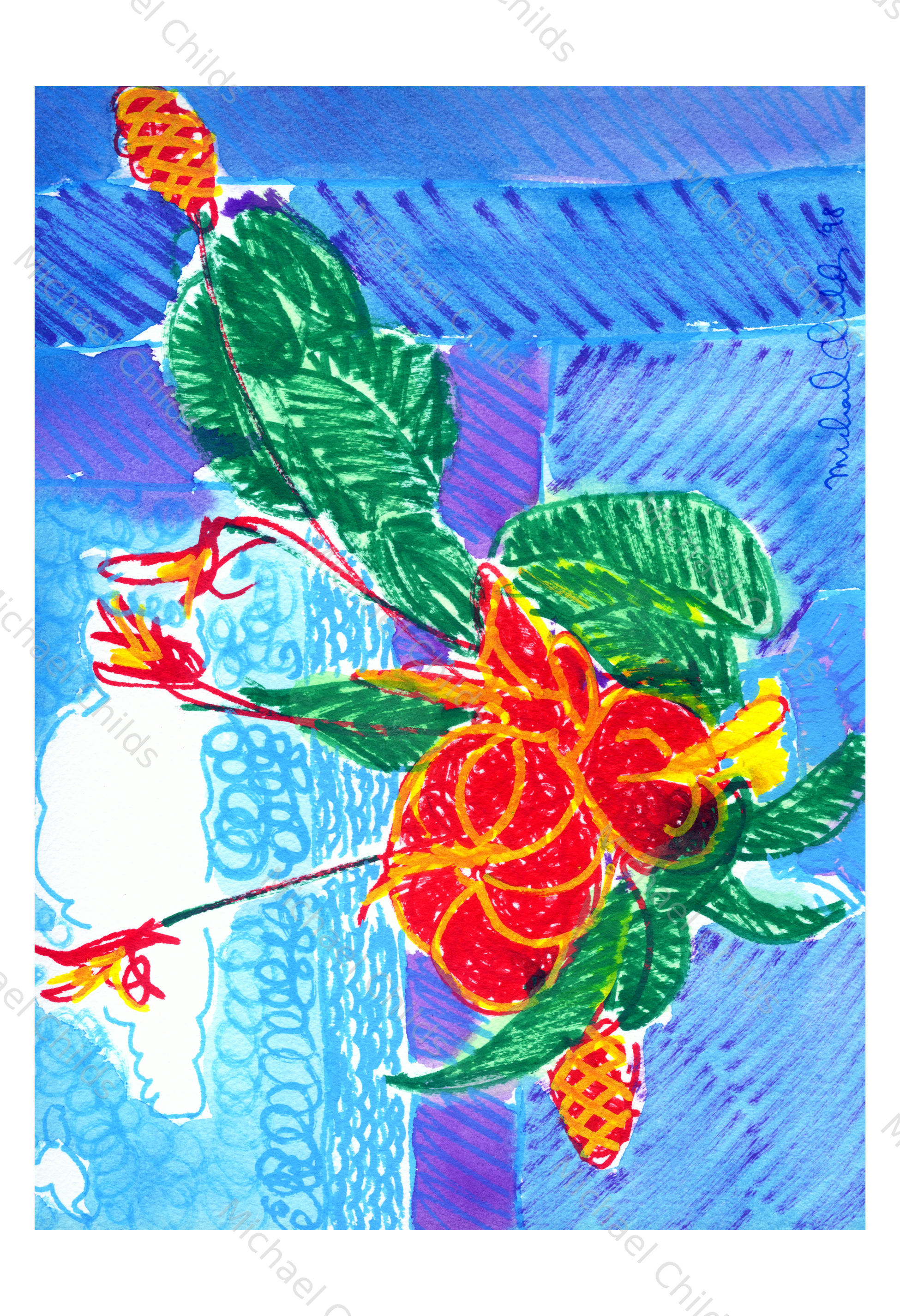 Aloha!