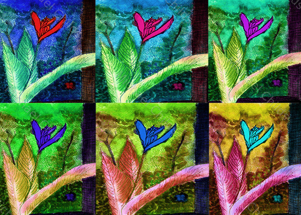 collage6layer1000